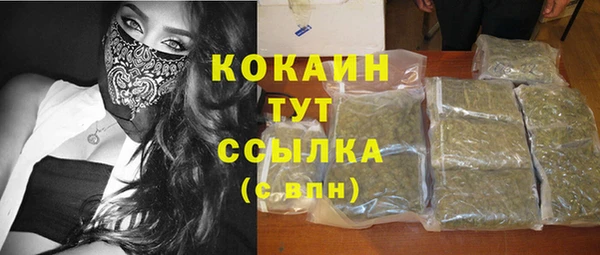 спиды Алзамай