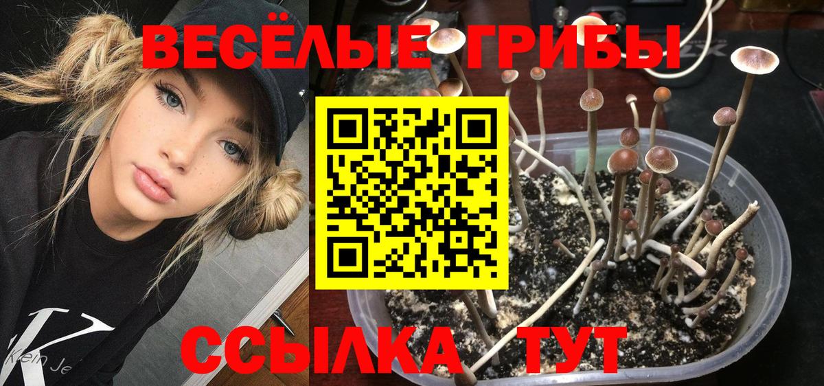 Галлюциногенные грибы Magic Shrooms  Вход с VPN  продажа наркотиков  Тайшет 